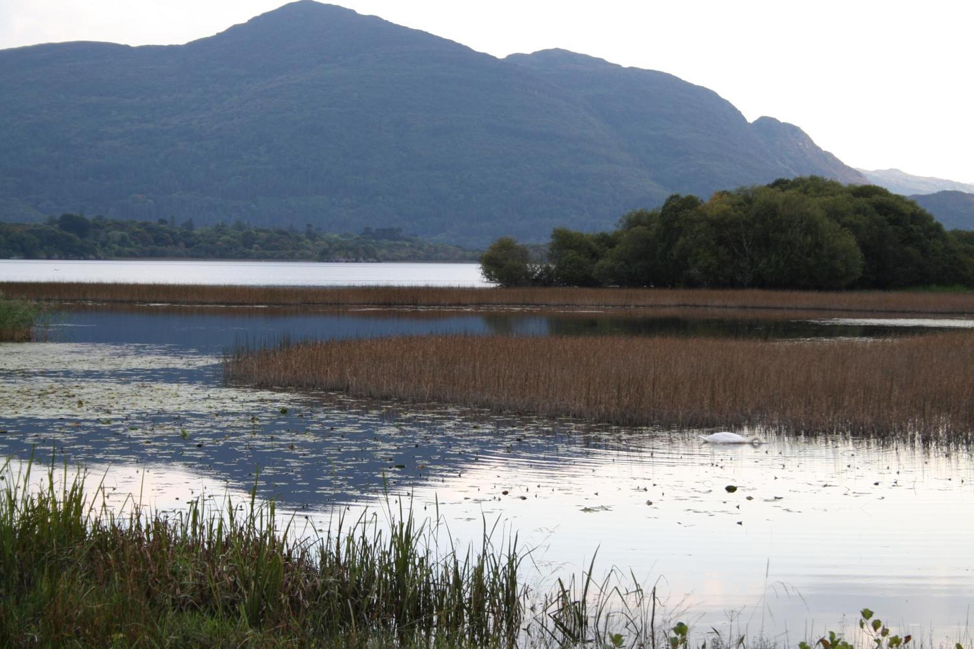 Innisfallen Holiday Homes By Trident Holiday Homes Killarney Room photo